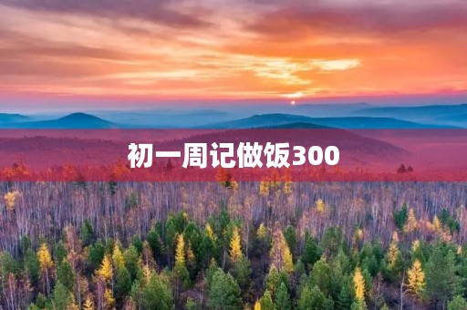 初一周记做饭300