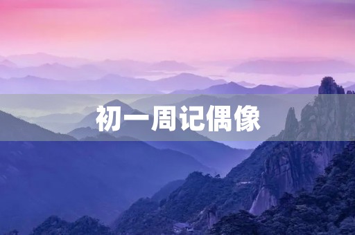 初一周记偶像
