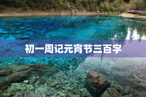 初一周记元宵节三百字