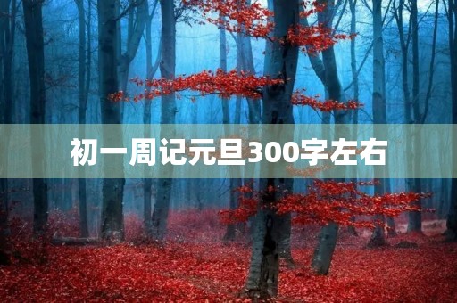初一周记元旦300字左右 初一周记元旦300字左右