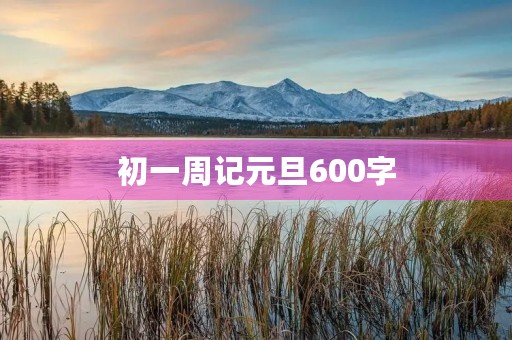 初一周记元旦600字