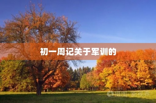初一周记关于军训的