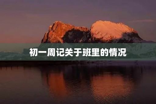 初一周记关于班里的情况