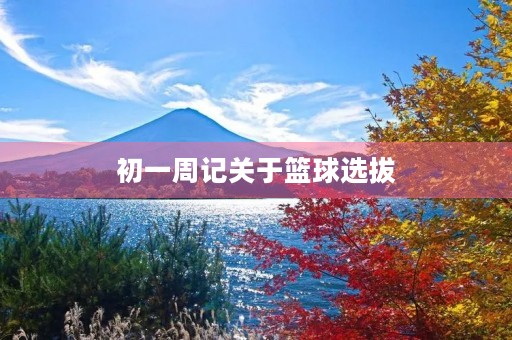 初一周记关于篮球选拔