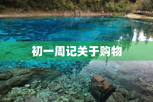 初一周记关于购物 初一周记关于购物