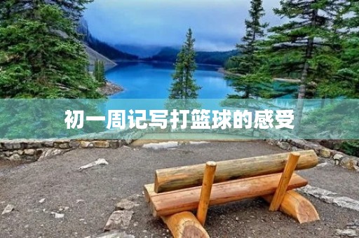 初一周记写打篮球的感受
