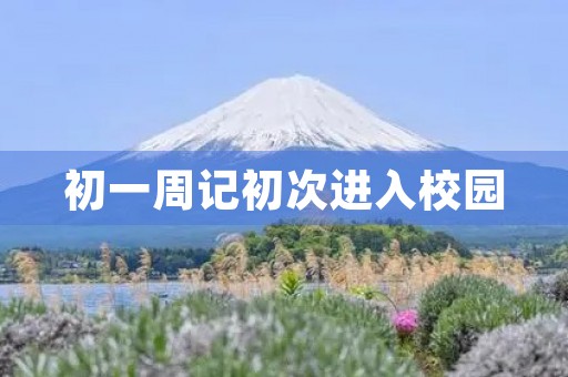 初一周记初次进入校园 初一周记初次进入校园