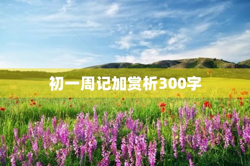 初一周记加赏析300字