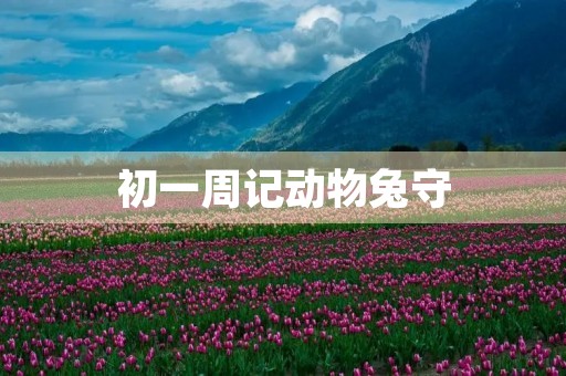 初一周记动物兔守