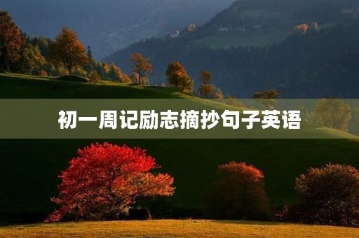 初一周记励志摘抄句子英语 初一周记励志摘抄句子英语