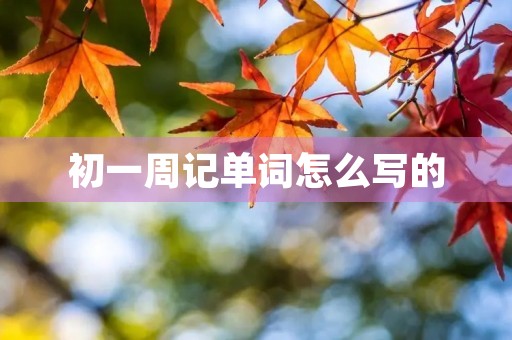 初一周记单词怎么写的 初一周记单词怎么写的