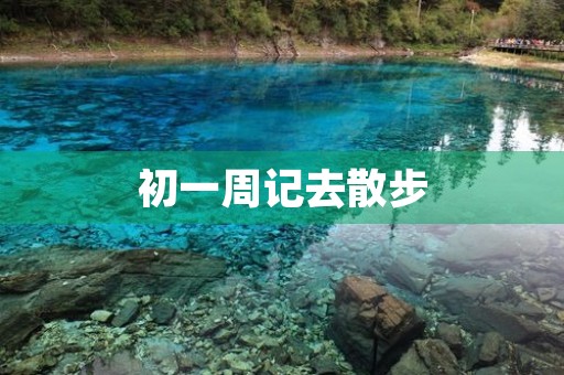 初一周记去散步