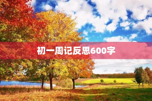 初一周记反思600字
