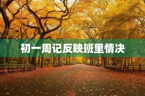初一周记反映班里情决