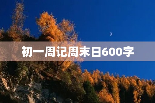 初一周记周末日600字