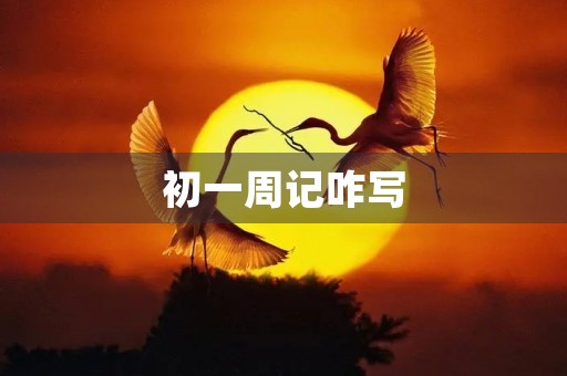 初一周记咋写