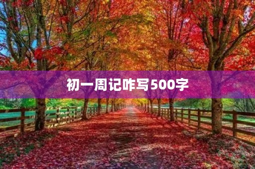 初一周记咋写500字