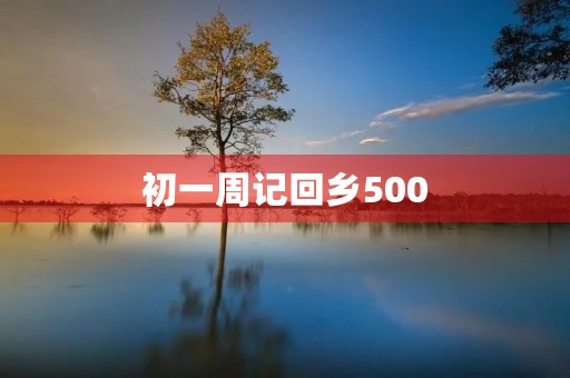 初一周记回乡500
