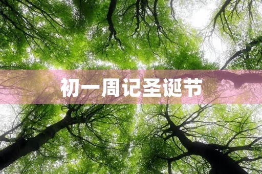 初一周记圣诞节 初一周记圣诞节