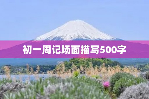 初一周记场面描写500字 初一周记场面描写500字