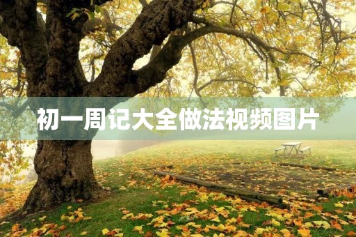 初一周记大全做法视频图片 初一周记大全做法视频图片