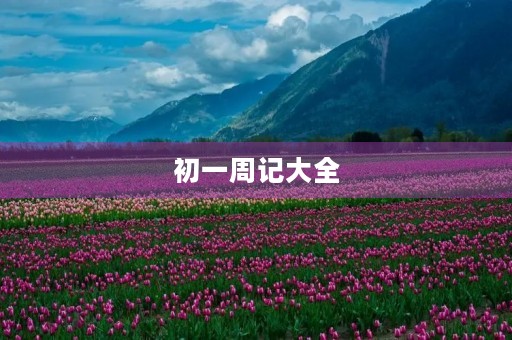 初一周记大全