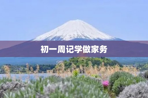 初一周记学做家务 初一周记学做家务