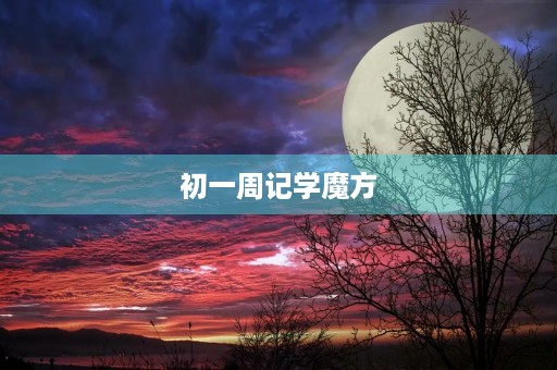 初一周记学魔方 初一周记学魔方