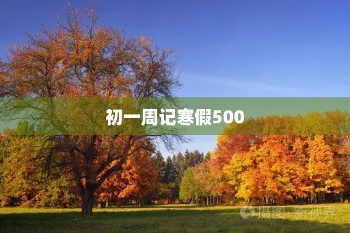 初一周记寒假500 初一周记寒假500