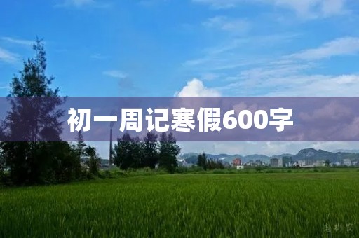 初一周记寒假600字 初一周记寒假600字