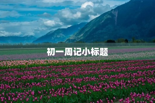 初一周记小标题