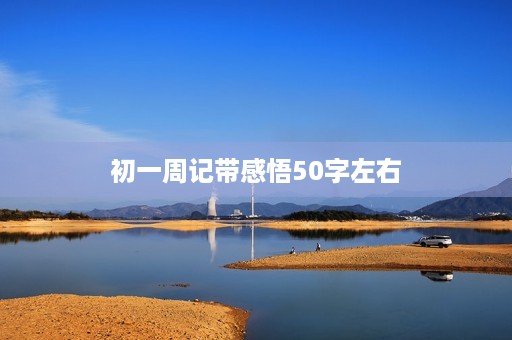 初一周记带感悟50字左右 初一周记带感悟50字左右