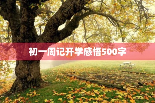 初一周记开学感悟500字 初一周记开学感悟500字