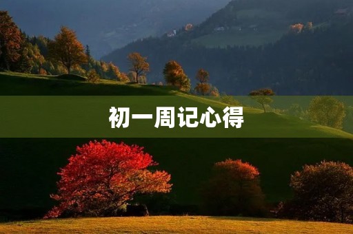 初一周记心得
