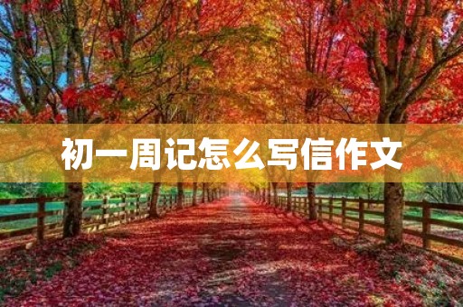 初一周记怎么写信作文
