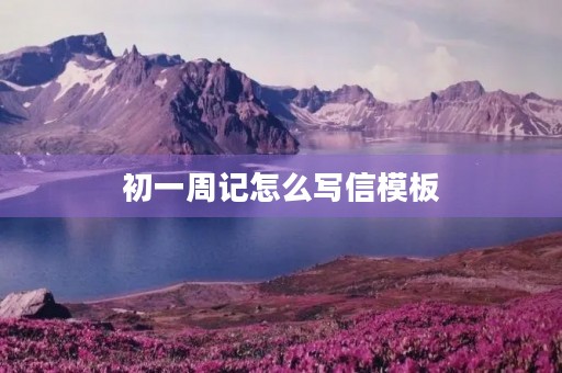 初一周记怎么写信模板