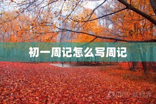 初一周记怎么写周记