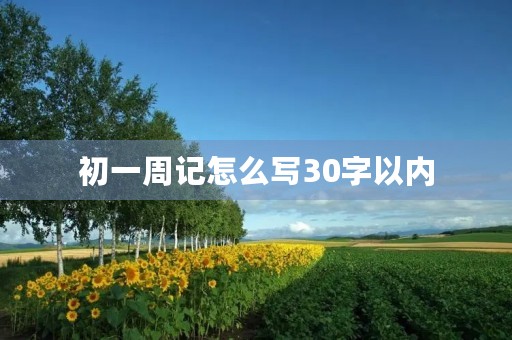 初一周记怎么写30字以内