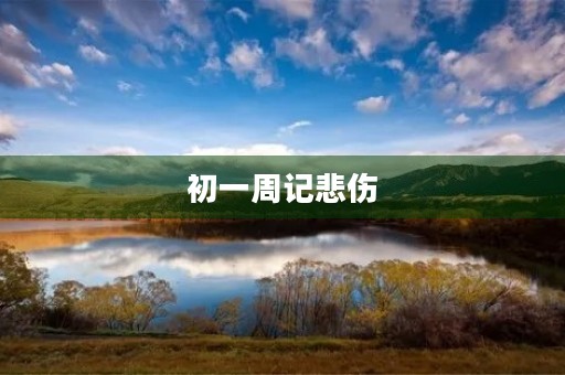 初一周记悲伤