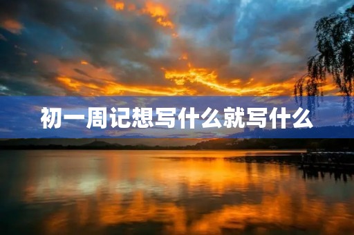 初一周记想写什么就写什么 初一周记想写什么就写什么