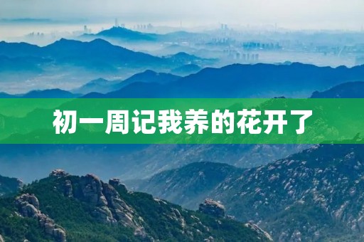 初一周记我养的花开了 初一周记我养的花开了