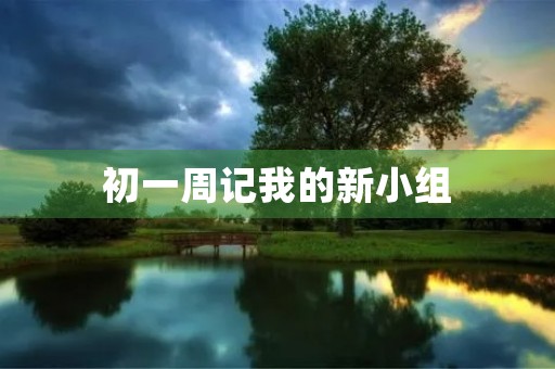 初一周记我的新小组 初一周记我的新小组