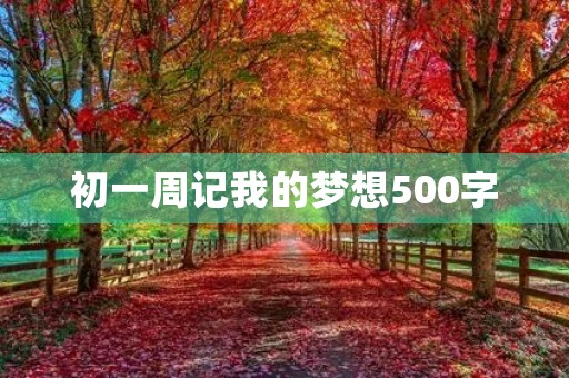 初一周记我的梦想500字