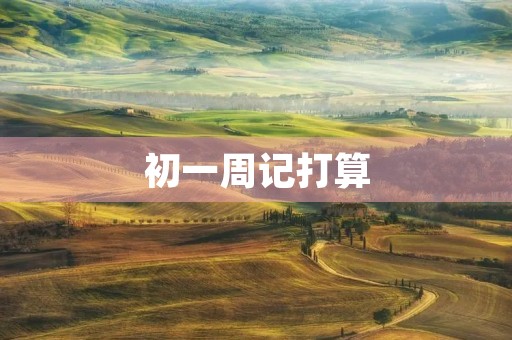 初一周记打算