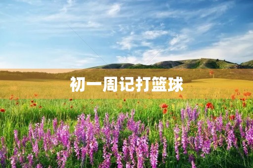 初一周记打篮球 初一周记打篮球