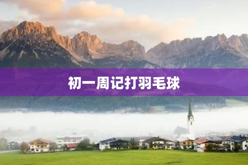 初一周记打羽毛球