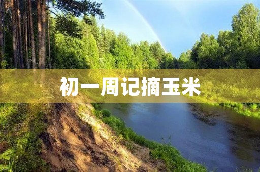 初一周记摘玉米