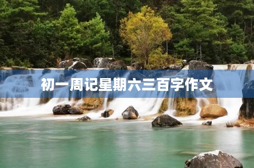初一周记星期六三百字作文