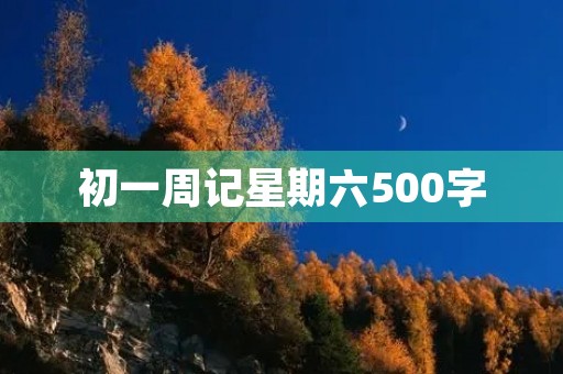 初一周记星期六500字