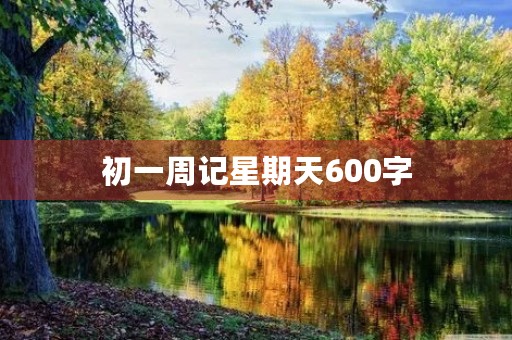初一周记星期天600字